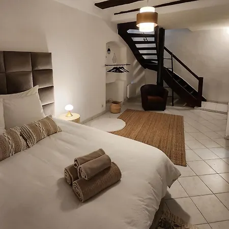Atypique En Souplex Apartment